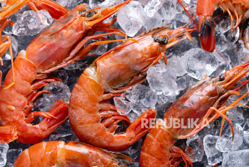 Aturan Impor Baru Tak Batasi Ekspor Udang Indonesia ke AS