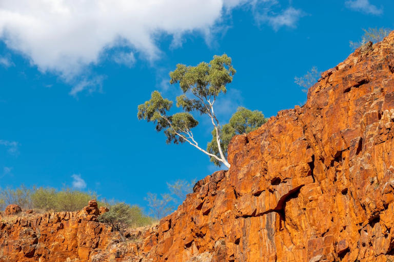 Why The Outback In Australia Is So Mysterious - Explained By ...
