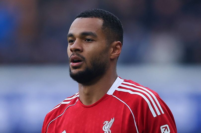LONDON, ENGLAND - OCTOBER 04: Cody Gakpo of Liverpool during the Premier League match between Chelsea and Liverpool at Stamford Bridge on October 04, 2025 in London, England. (Photo by James Gill - Danehouse/Getty Images)