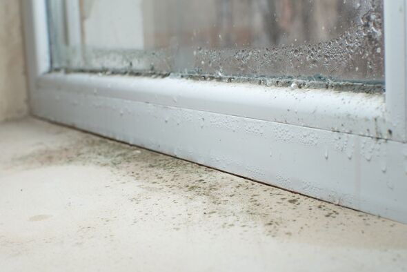 Stop using vinegar to kill mould - 1 natural ingredient works in 5 minutes
