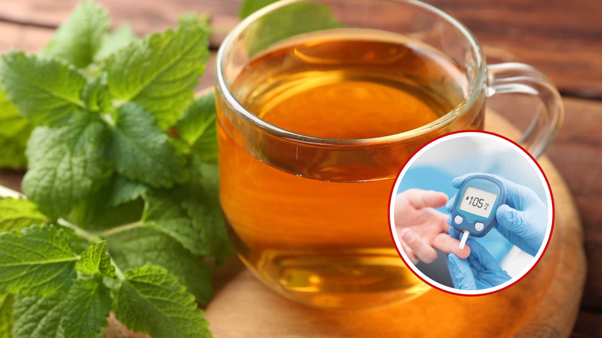 Tác dụng ít người biết của trà tía tô đất trong việc kiểm soát đường huyết