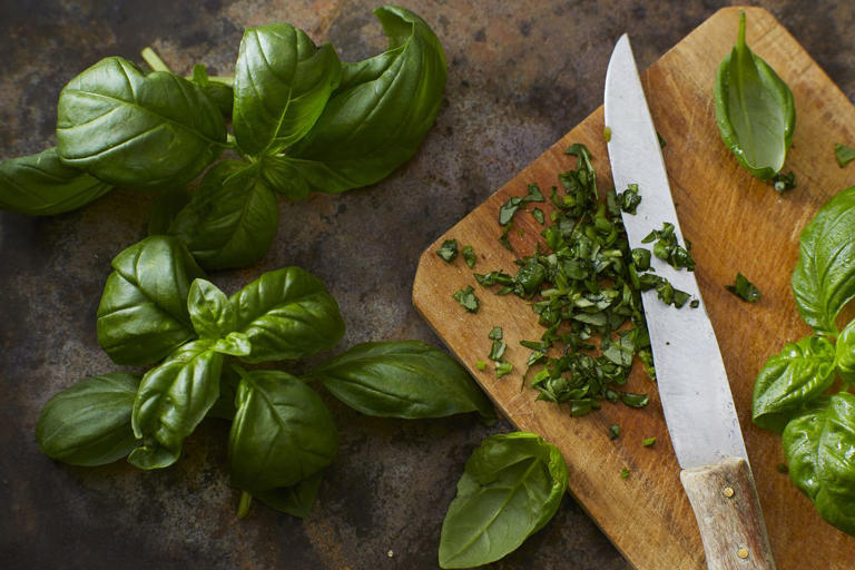 How to harvest herbs for winter cooking—before the cold kills them