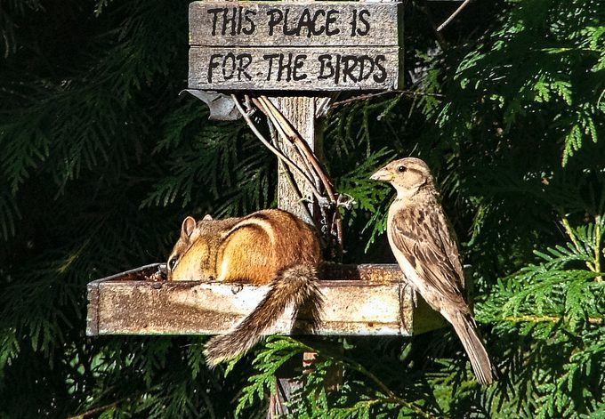 I Choose This Photo For Its Originality And Humor!