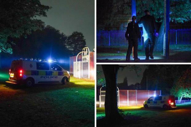 Everything we know as three boys arrested after 'assault' in North Park ...