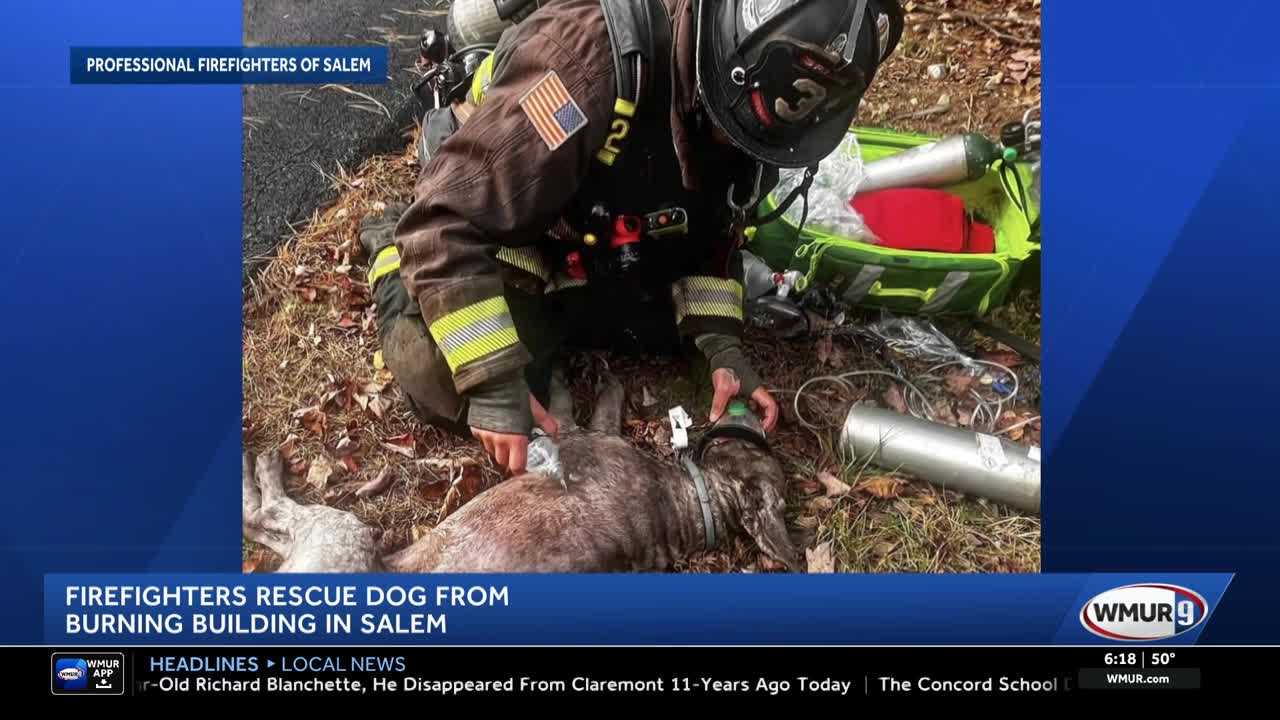 Firefighters rescue two people, revive dog after fire in Salem