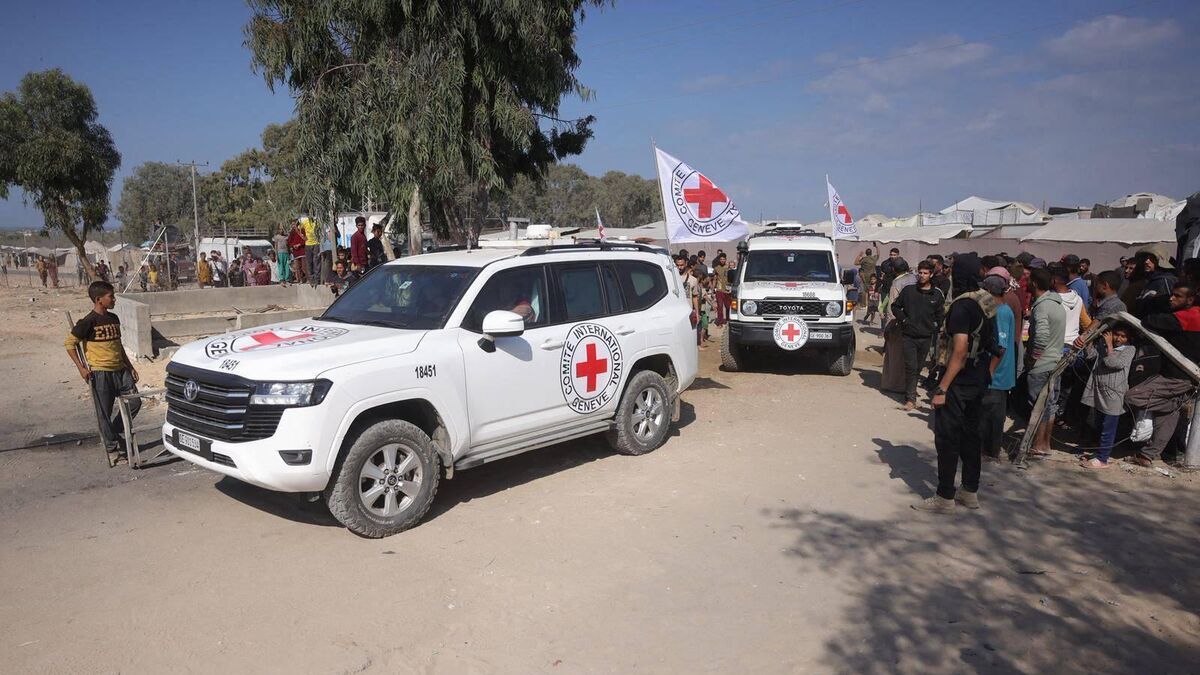 Returning hostage bodies from Gaza may take time, Red Cross says
