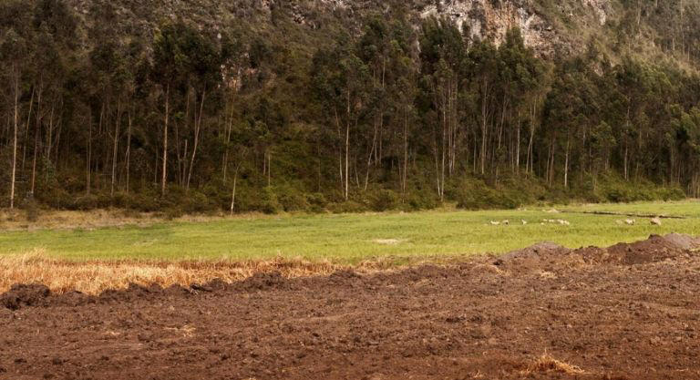 El sujeto presuntamente dejaba los cuerpos mutilados de sus víctimas en zonas alejadas. Foto: Freepik / Ilustrativa