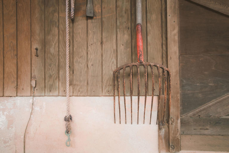 How to Remove Rust From Metal Surfaces, From Garden Tools to Vintage Finds