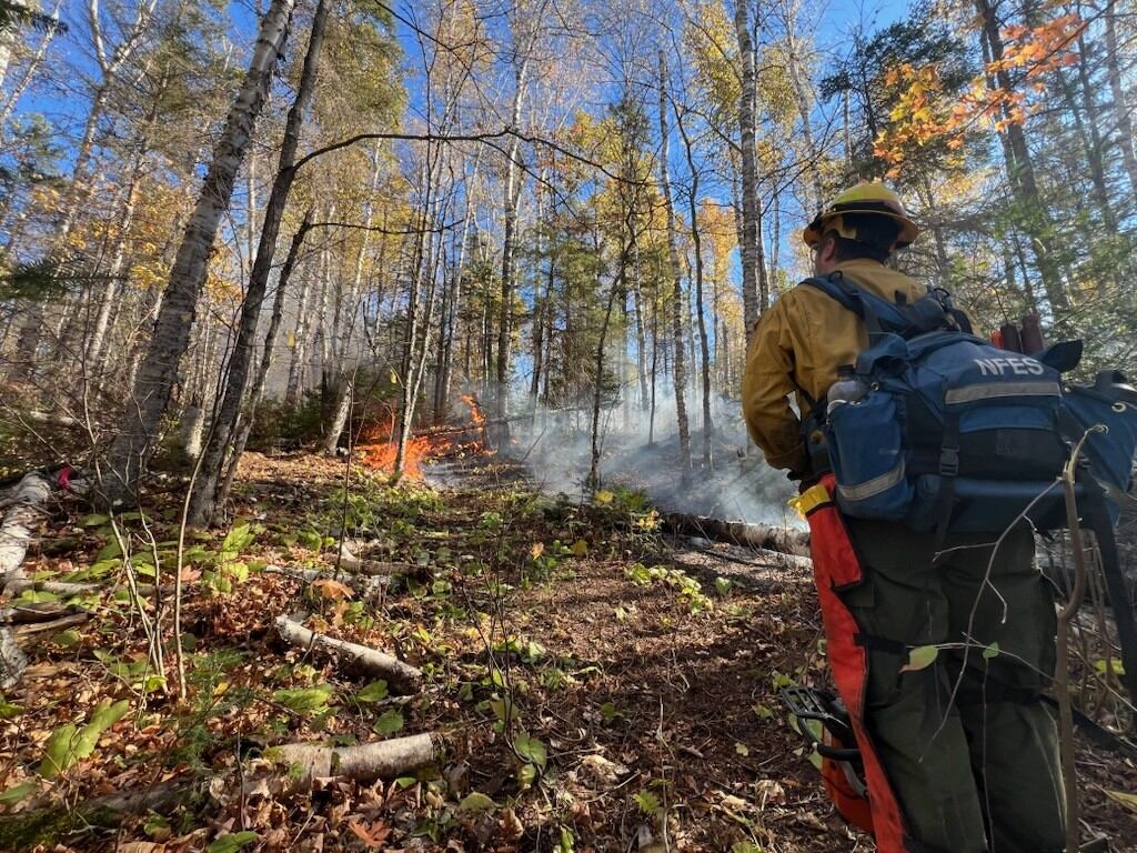 Crosby Fire containment grows to 85%, remains at 300 acres