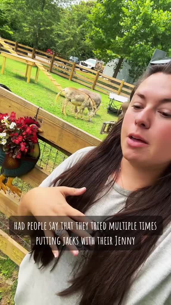 Donkey Breeding Drama: Did Buck Get the Job Done?