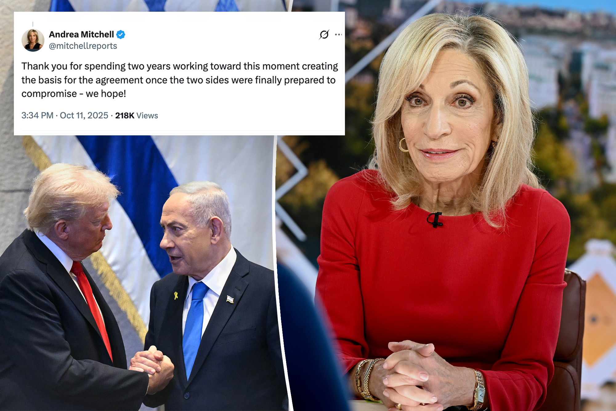 who is andrea mitchell Image 3