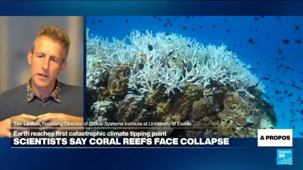 Coral reefs cross survival limit, in Earth's first catastrophic climate ...