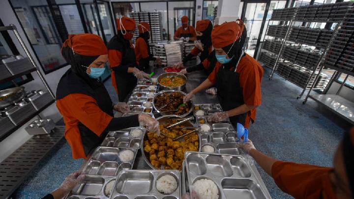 Dukung MBG, Danantara Siapkan Rp 20 Triliun Bangun Peternakan Ayam