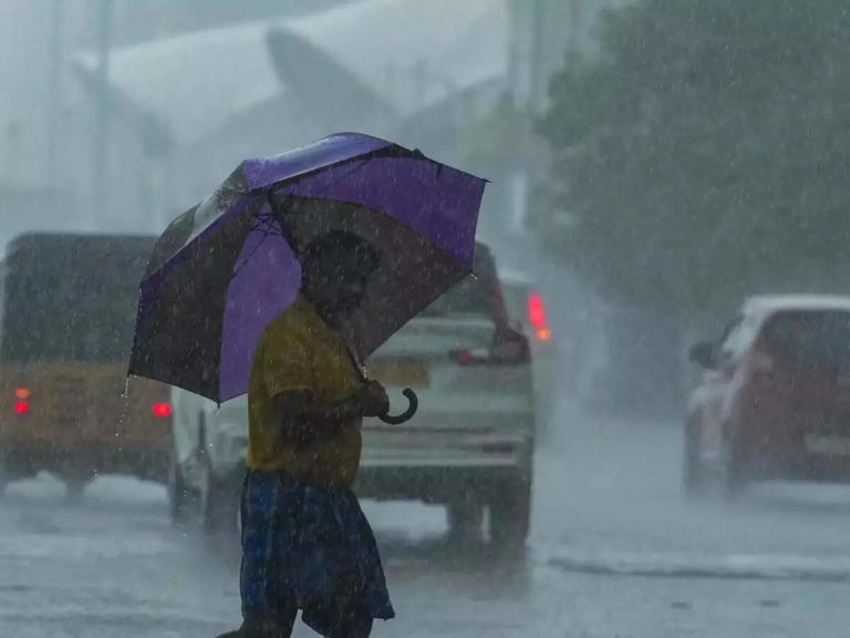 Tamil Nadu weather: Heavy rains predicted in Chennai and these districts for next six days; Check full list and forecast