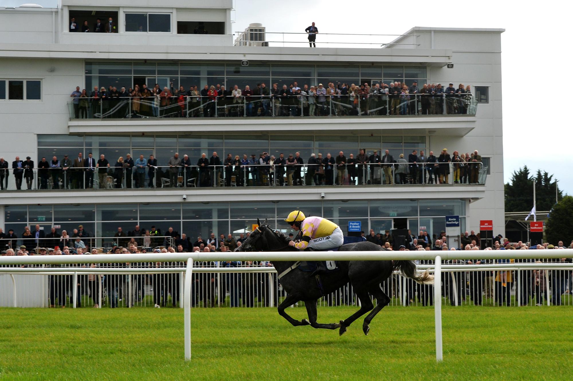 Wetherby Racecourse optimistic for jumps season despite small field for ...