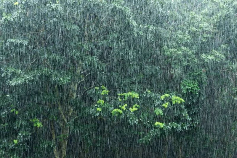 Prakiraan Cuaca BMKG 17 Desember 2025: Hujan Lebat dan Dampak Siklon Bakung