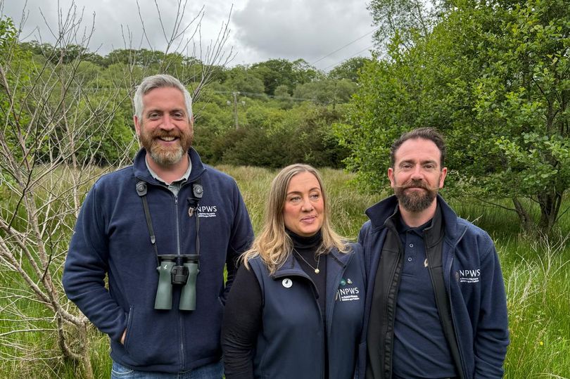 Birdwatchers rejoice in new trail in famous beauty spot on West Cork's ...