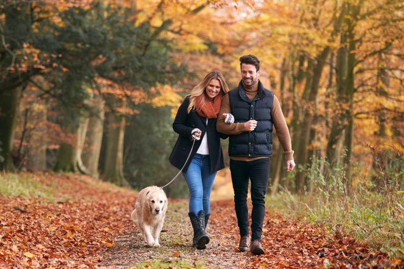 9 signs the person you're dating has ADHD, according to expert