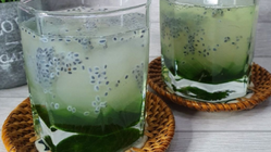 Es lidah buaya Pontianak