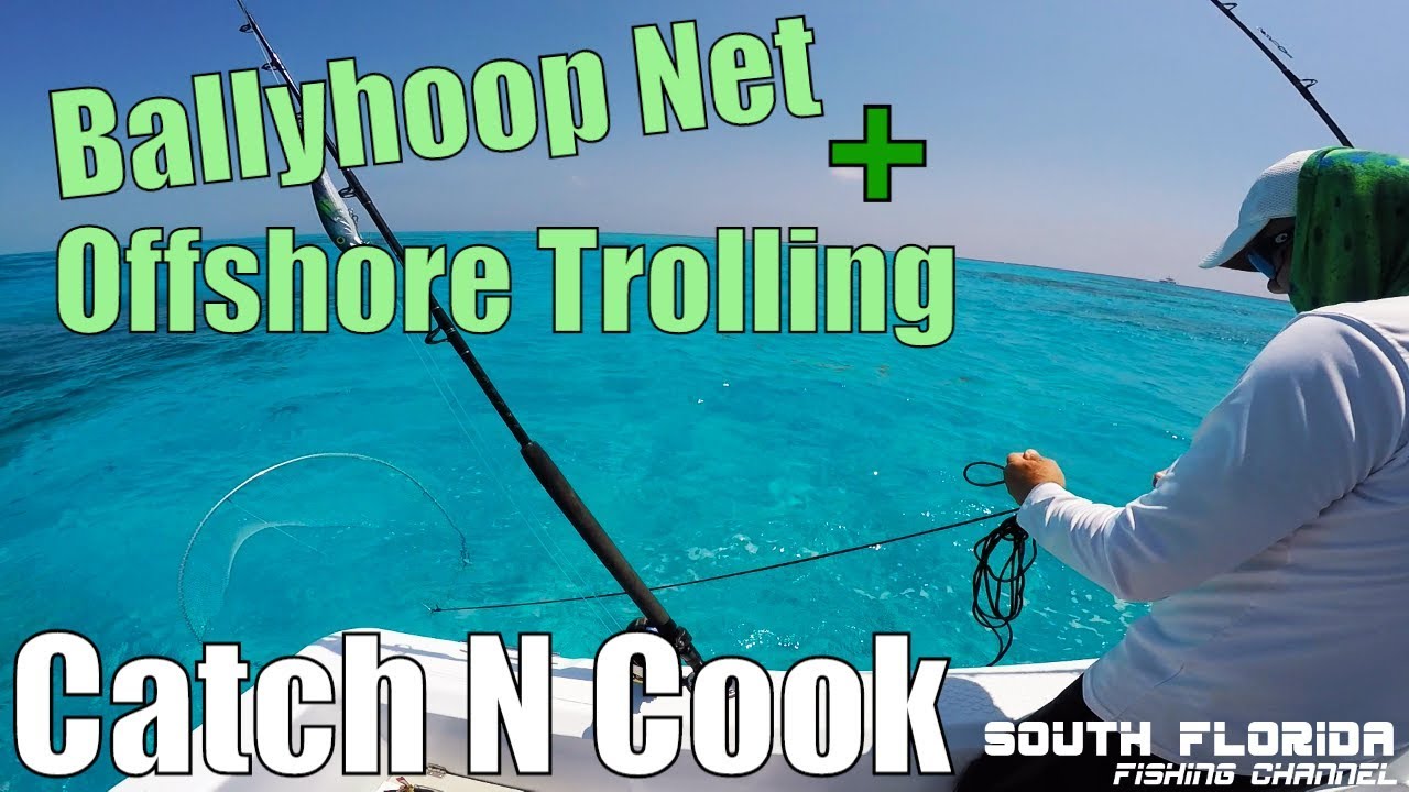 Catch and cook using a BallyHoop net and trolling offshore in Key Largo