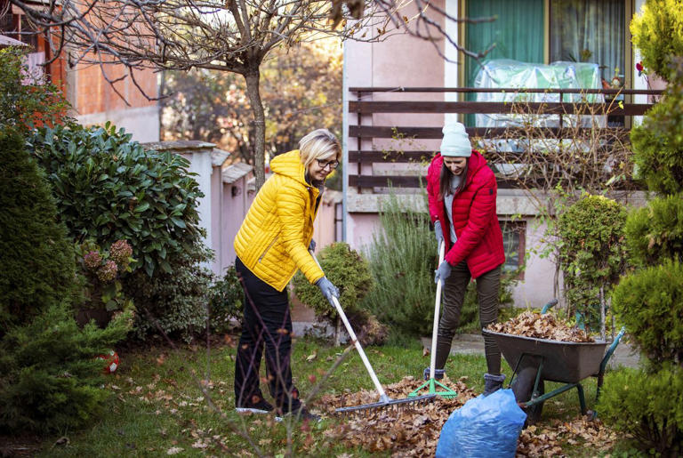 The Smart Homeowner's Guide to Raking Leaves at the Right Time