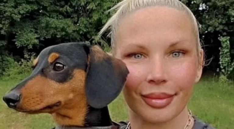 Tras la muerte de su dueña, los perros salchicha buscaron cómo sobrevivir