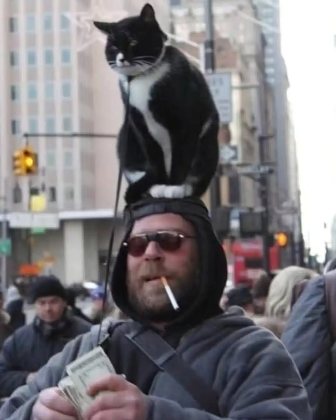 Homem viraliza por passear com seu gato na cabeça e vira atração nas ruas de Nova York