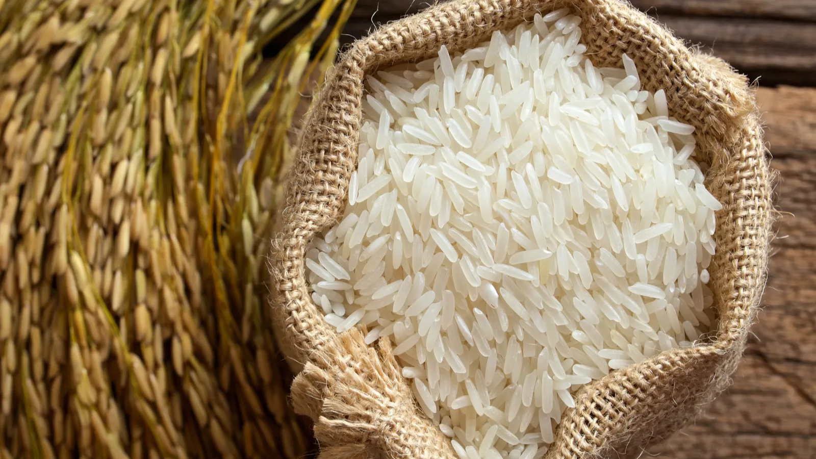 Rice dishes beyond sushi, onigiri, and donburi