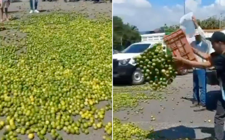 protesta-limoneros-michoacán-15102025