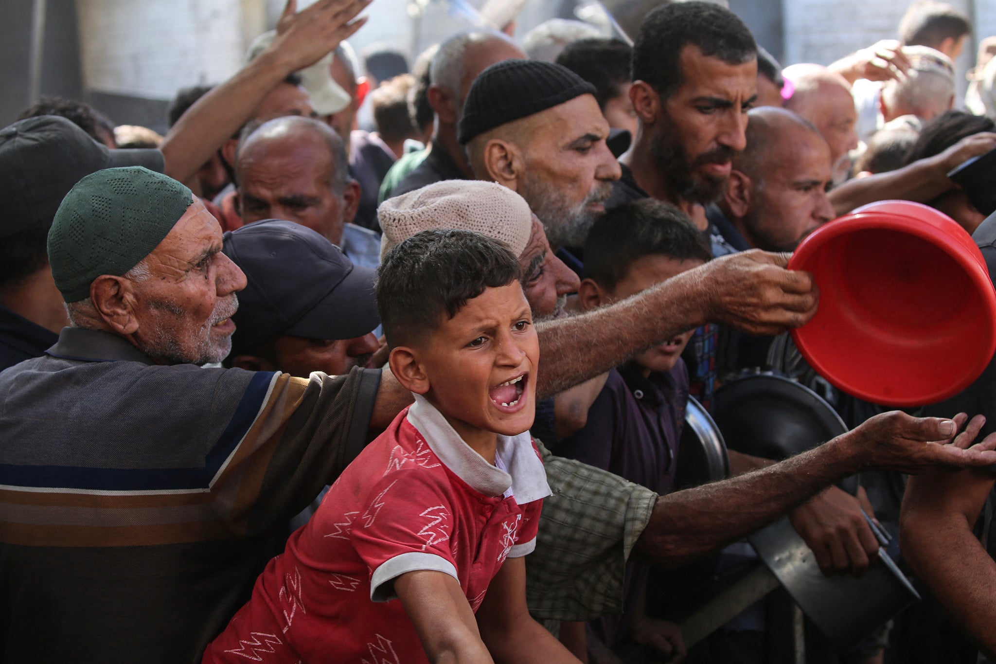 Aid organisations frustrated as crucial supplies trickle into Gaza and ...