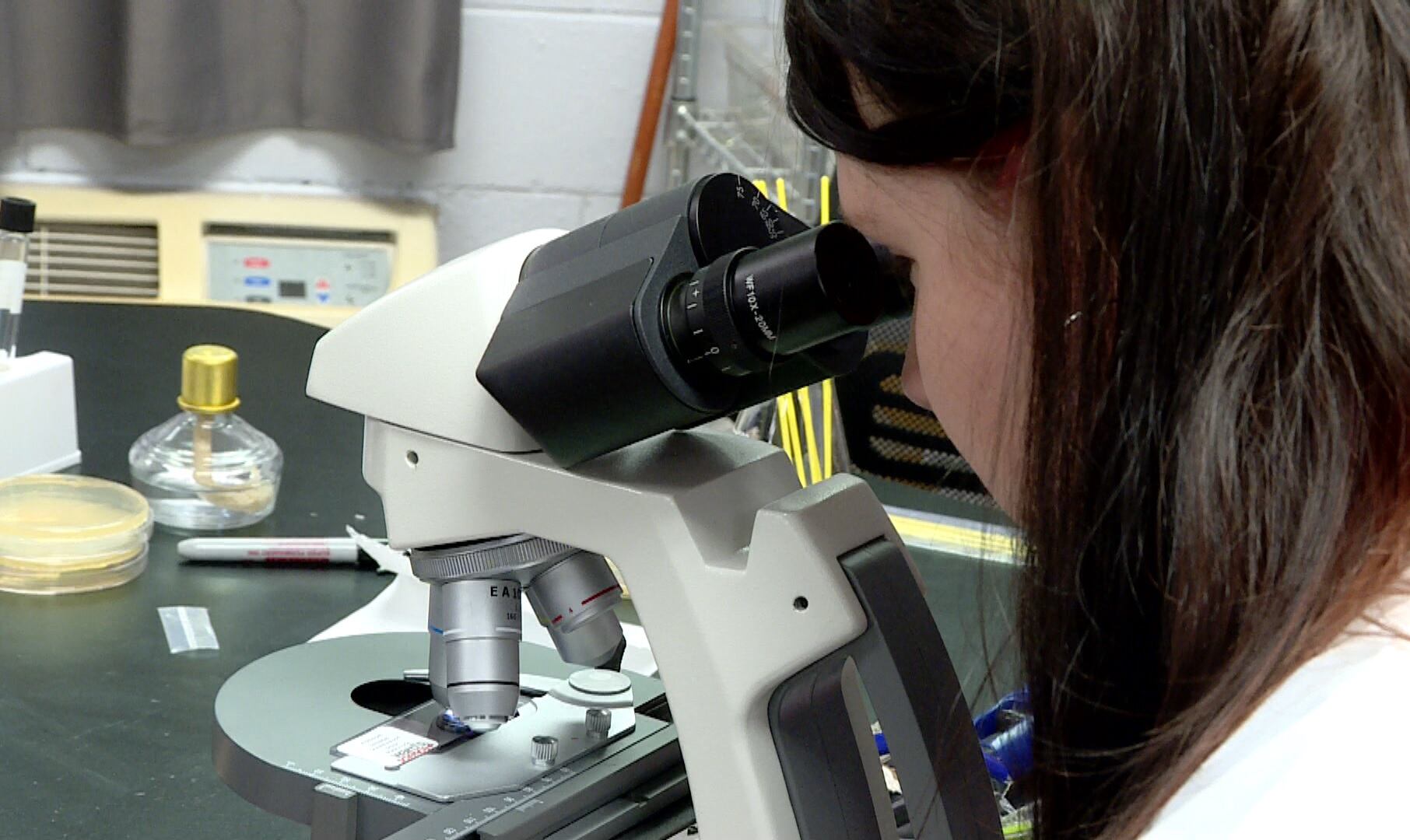 Georgia Southern offering new PhD in biomedical sciences