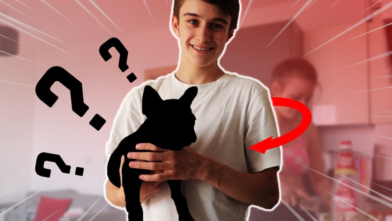 Buying my first ever puppy and bringing it home