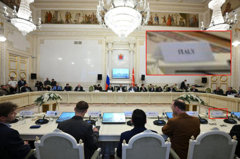 La sala della conferenza e il “seggio” italiano.