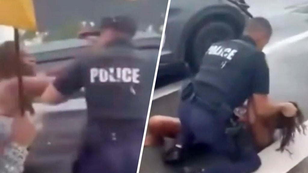 Viral video shows Florida mom and police officer trading punches