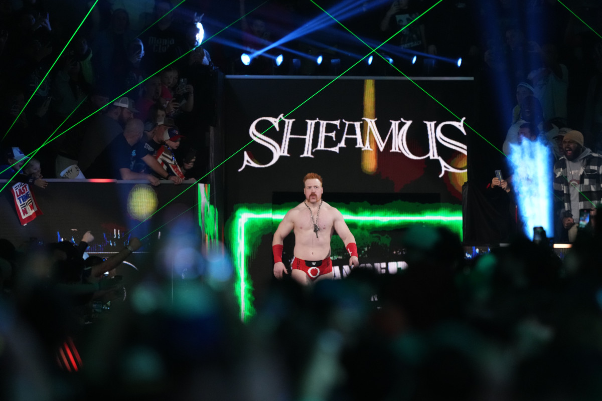 Legendary WWE Star Sheamus Announces Heartbreaking Dog Loss