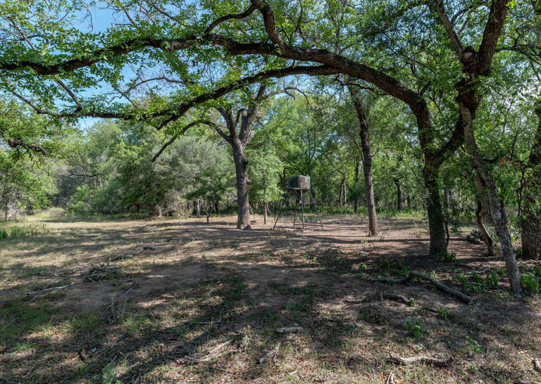 Baseball legend's TX ranch west of S.A. scores $1.25M price cut