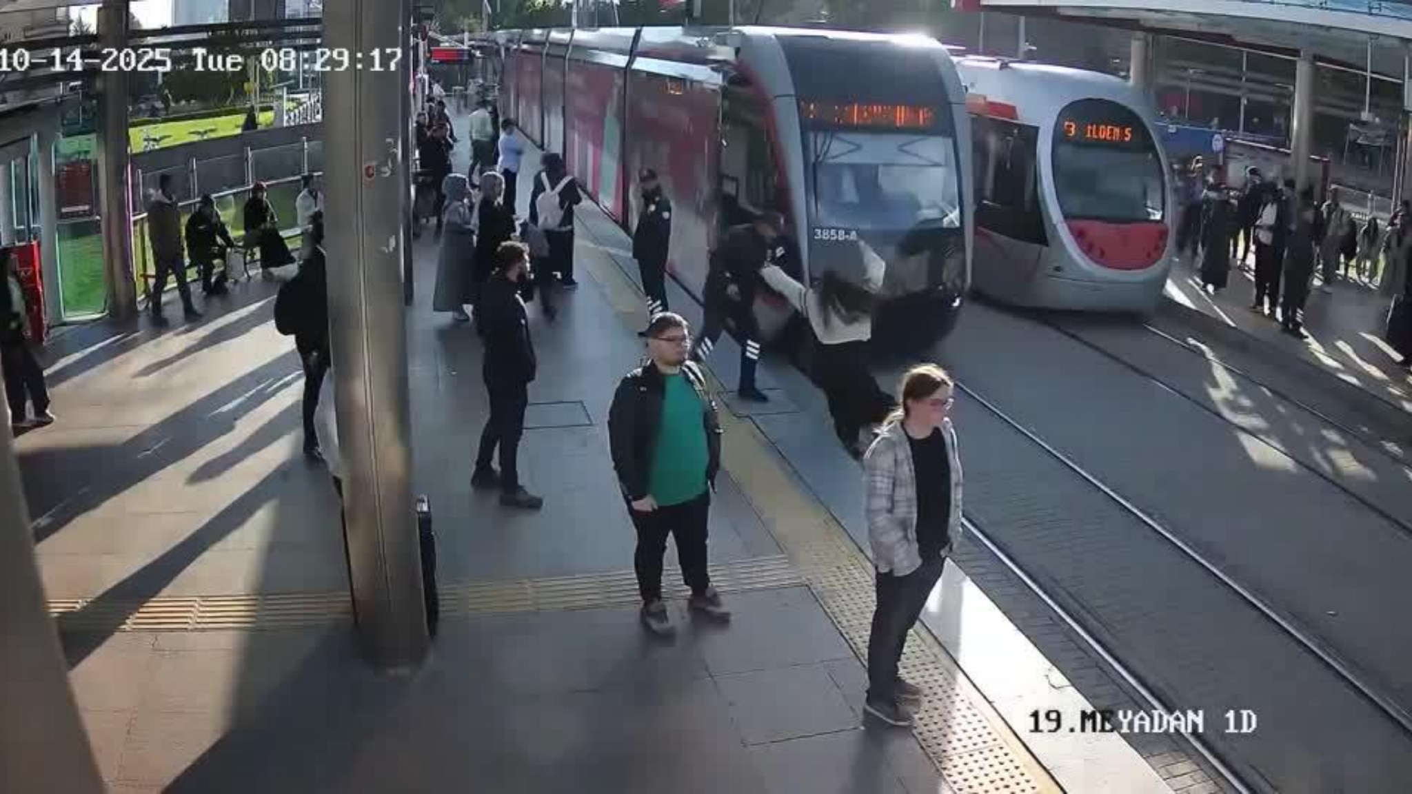 Come si diventa cani da salvataggio