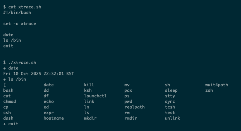 Just Starting Out in Bash Scripting? Here's How to Do It Right