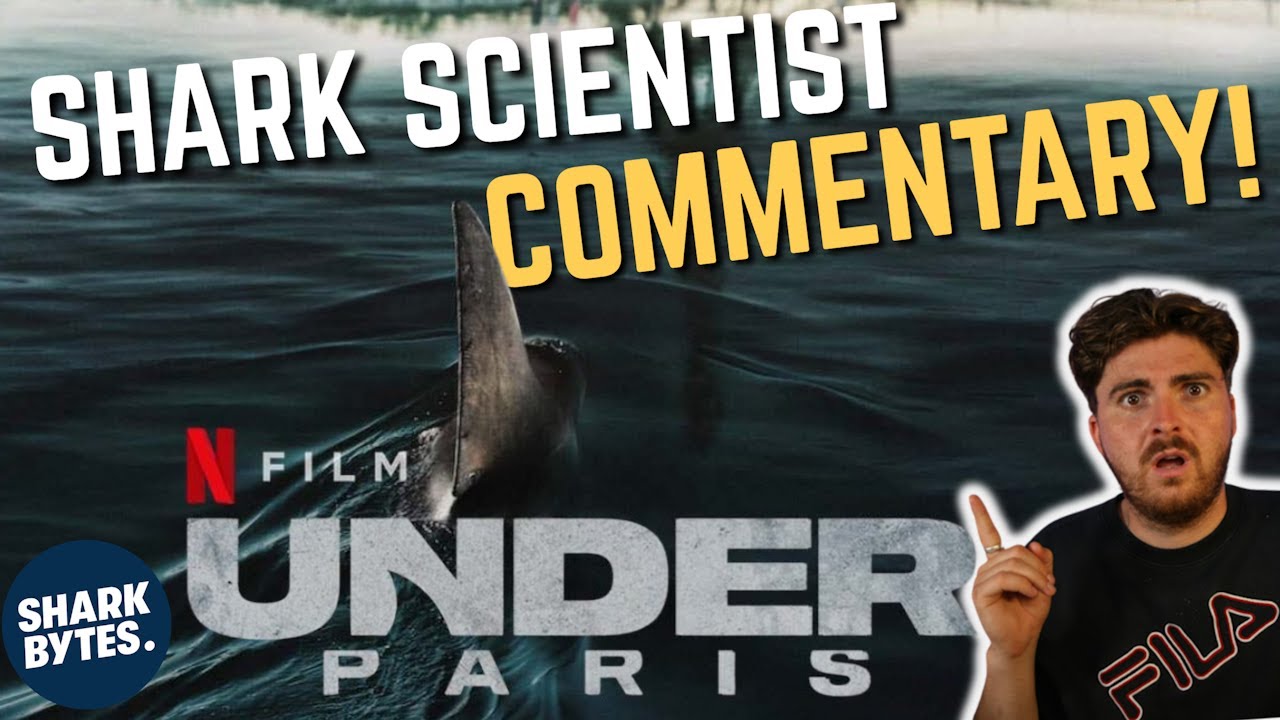 Shark Scientist Reacts To Under Paris