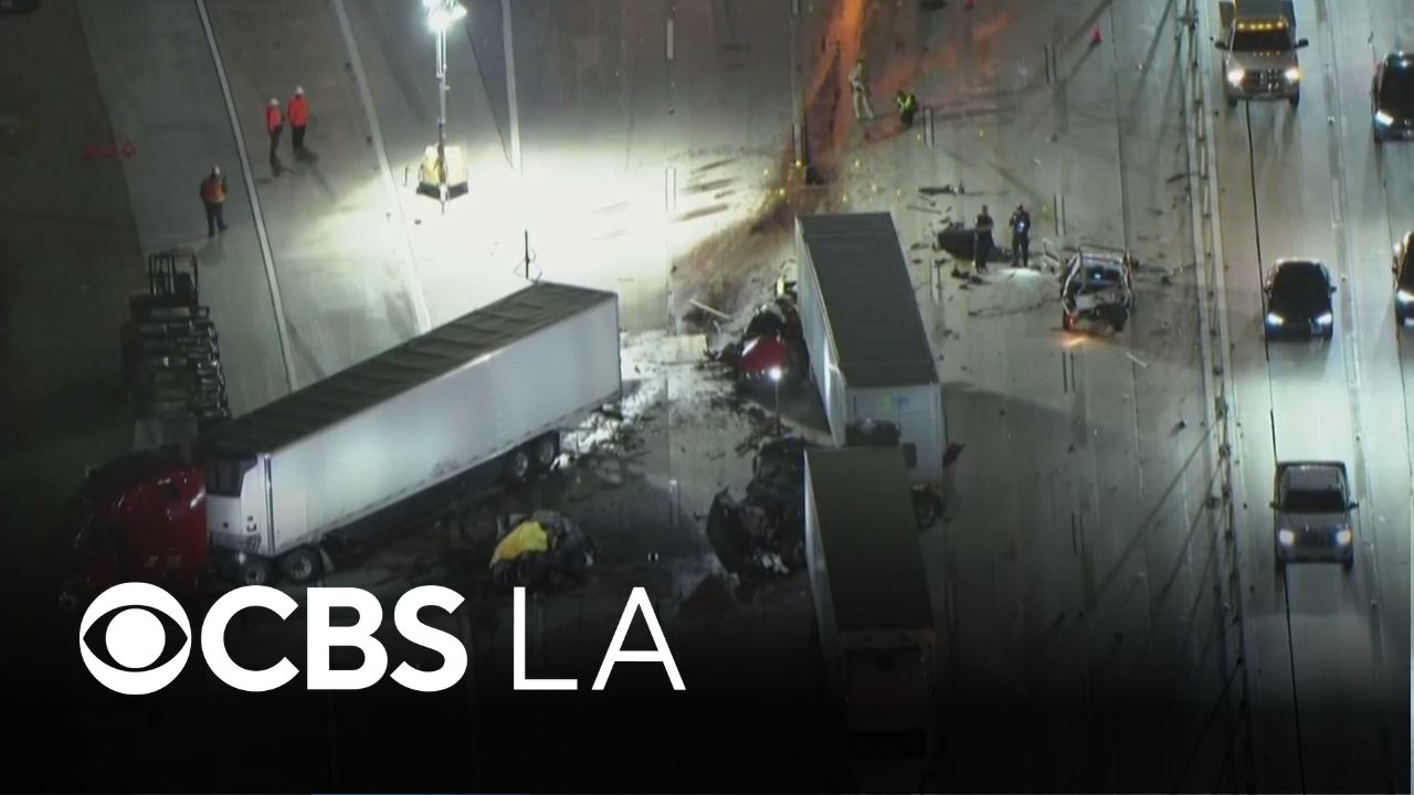 Truck driver arrested in deadly crash was in the country illegally, DHS ...
