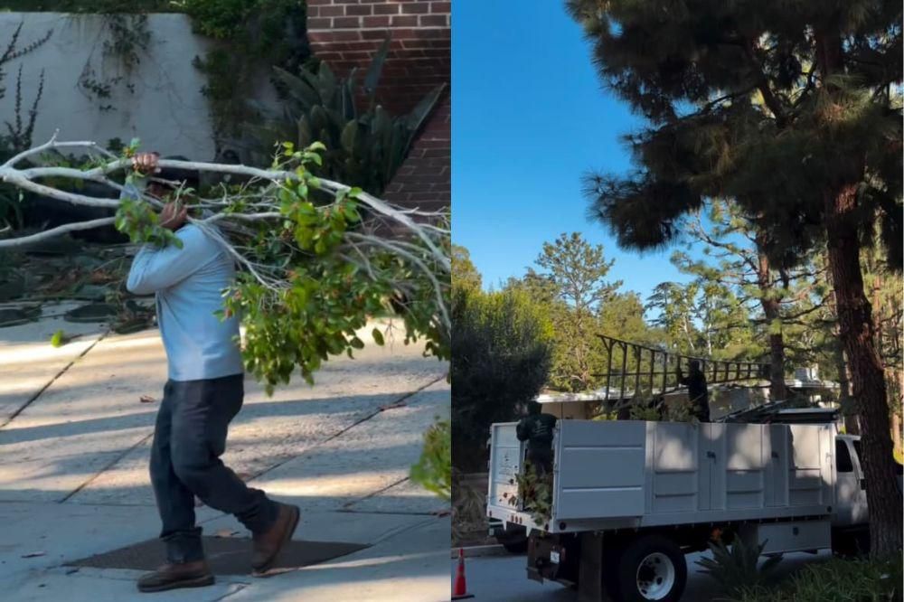 14 Potret Juragan 99 Bersihkan Kebun Rumah di Los Angeles Rp38 Juta 3 AA1P0M5R