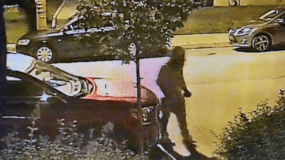 Police looking for suspect accused of trying to break into multiple ...