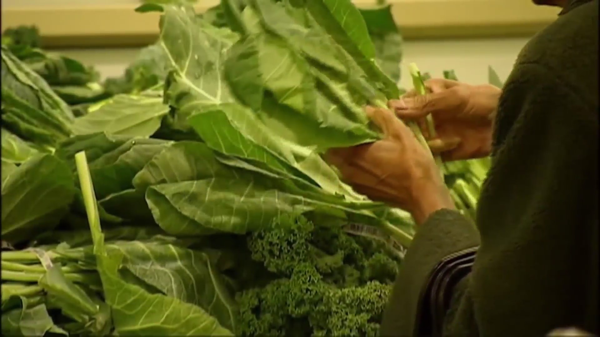 Polis requests $10M to assist SNAP recipients amid federal government ...