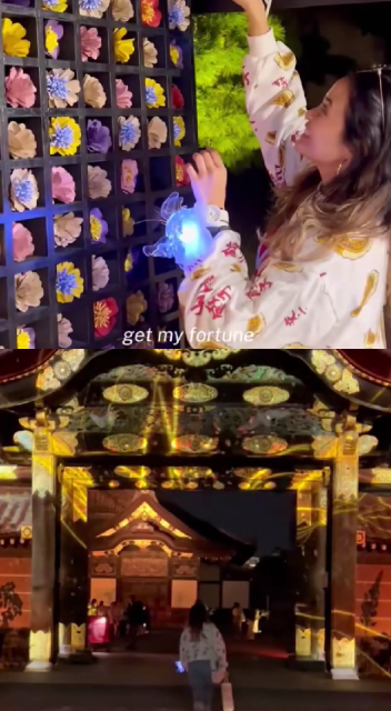 Kyoto Nijo Castle projection mapping experience
