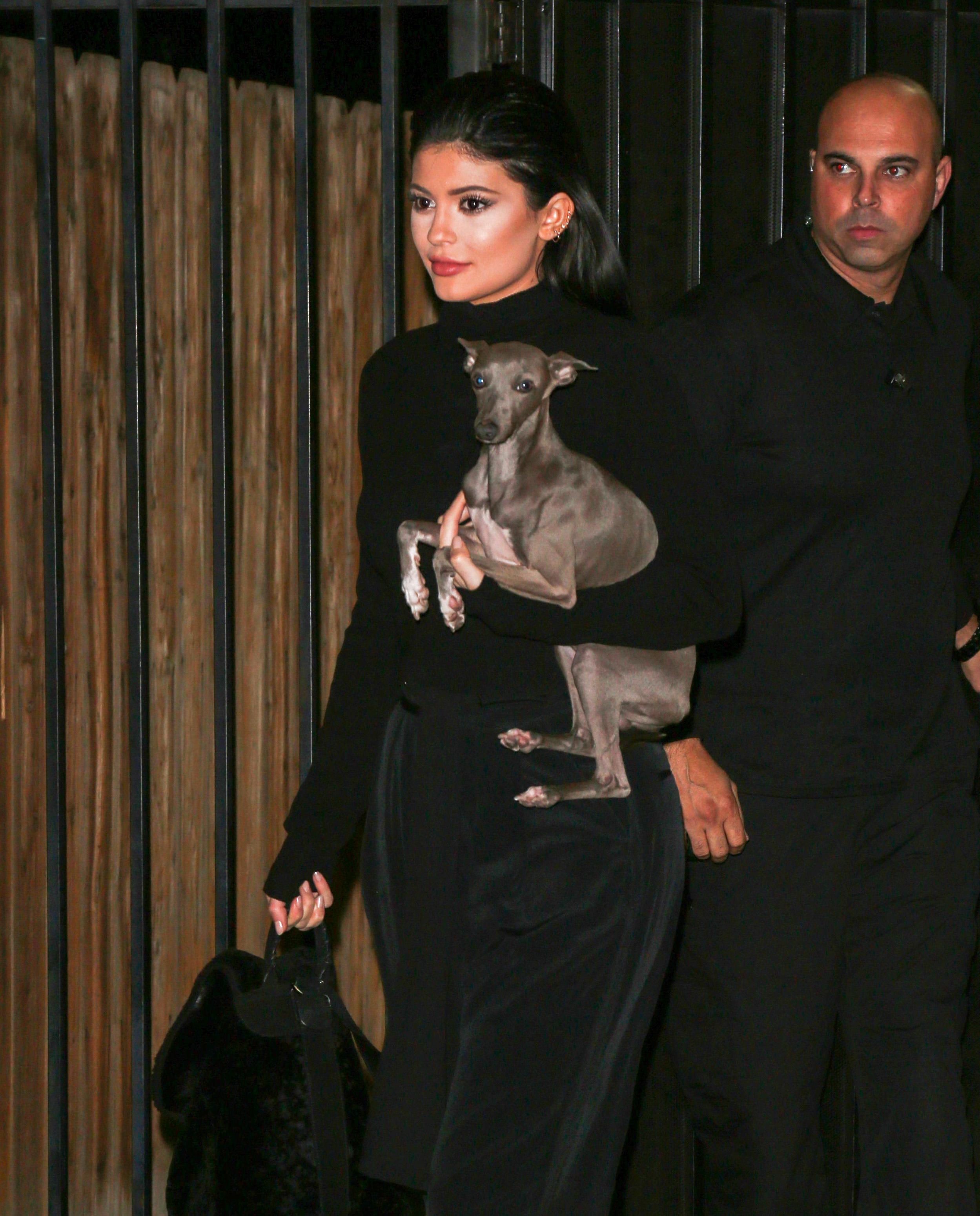 Kylie Jenner Mourns Beloved Italian Greyhound Norman’s Death on(01)