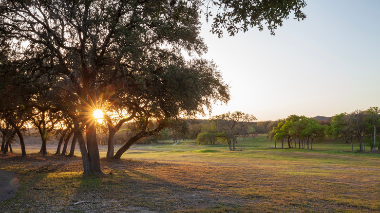 Texas' Adorable City Outside Of Austin Is A Hill Country Gateway Full ...