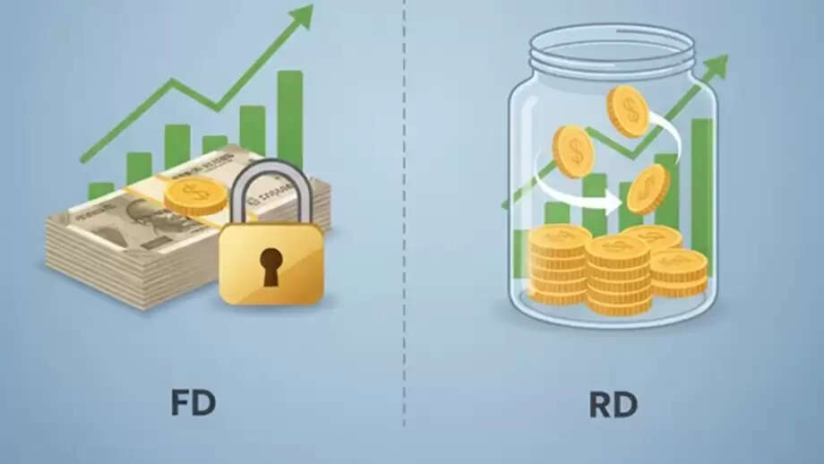 Investment: Which is best for you, FD or RD? Which one offers ...