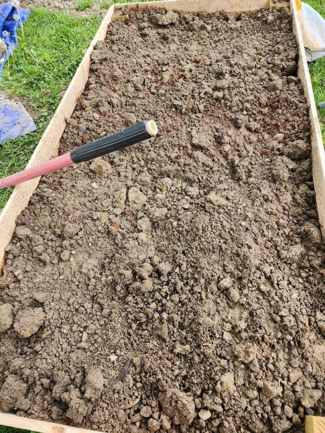 Homeowner shares photos of 'embarrassment' after backyard gardening ...