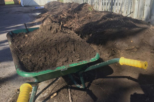 Homeowner shares photos of 'embarrassment' after backyard gardening ...