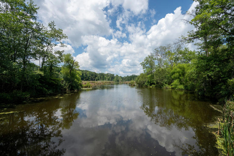 Franklin Lakes renames nature preserve in honor of former mayor who led ...